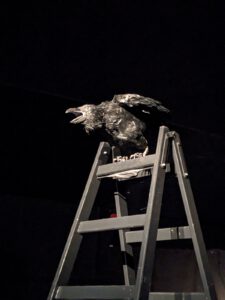 raven underground